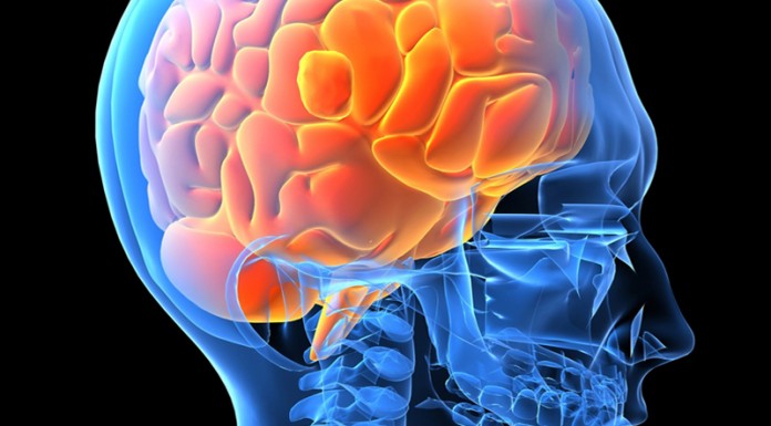 Νέο σύστημα τεχνητής νοημοσύνης εντοπίζει μικρές εγκεφαλικές αιμορραγίες καλύτερα και από τους ακτινολόγους