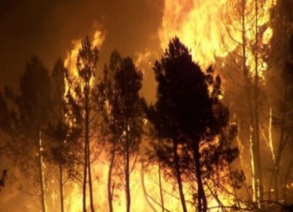 Έκτακτο - Κεφαλονιά: Νέα πυρκαγιά στο χωριό Βλαχάτα