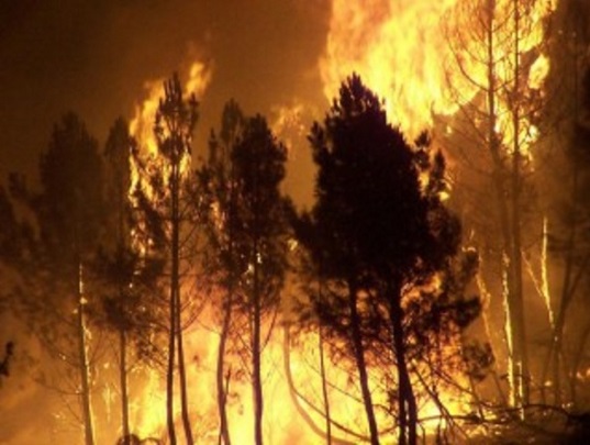Έκτακτο - Κεφαλονιά: Νέα πυρκαγιά στο χωριό Βλαχάτα