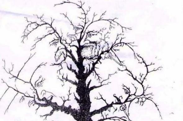 δένδρο, ΚΟΥΙΖ,«κρυμμένα» πρόσωπα.