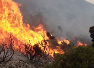 Ρέθυμνο: Φωτιά σε δάσος κοντά σε οικισμό