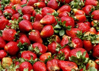 Βόλος: Βρήκαν απαγορευμένο φυτοφάρμακο σε φράουλες