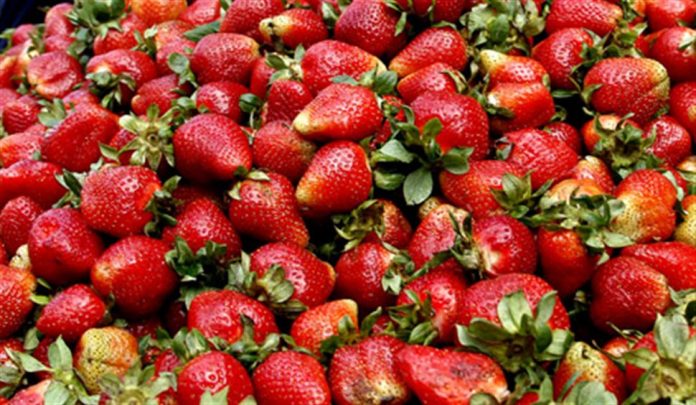Βόλος: Βρήκαν απαγορευμένο φυτοφάρμακο σε φράουλες