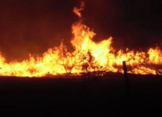Κρήτη: Μάχη με τις φλόγες δίνουν οι πυροσβέστες
