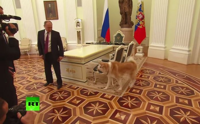 σκύλος, Πούτιν, έκλεψε παράσταση,