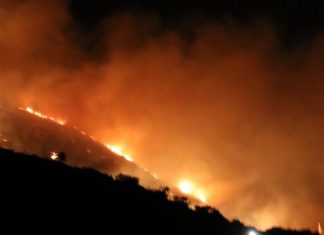 Σάμος: Μεγάλη φωτιά έχει ξεσπάσει σε δασική έκταση