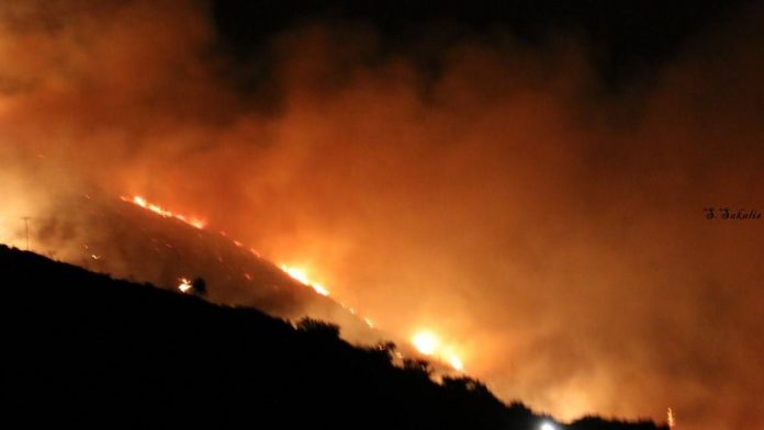 Σάμος: Μεγάλη φωτιά έχει ξεσπάσει σε δασική έκταση