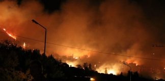 Αύξηση του άσθματος παρατηρείται σε περιοχές που έχουν εκδηλωθεί μεγάλες πυρκαγιές