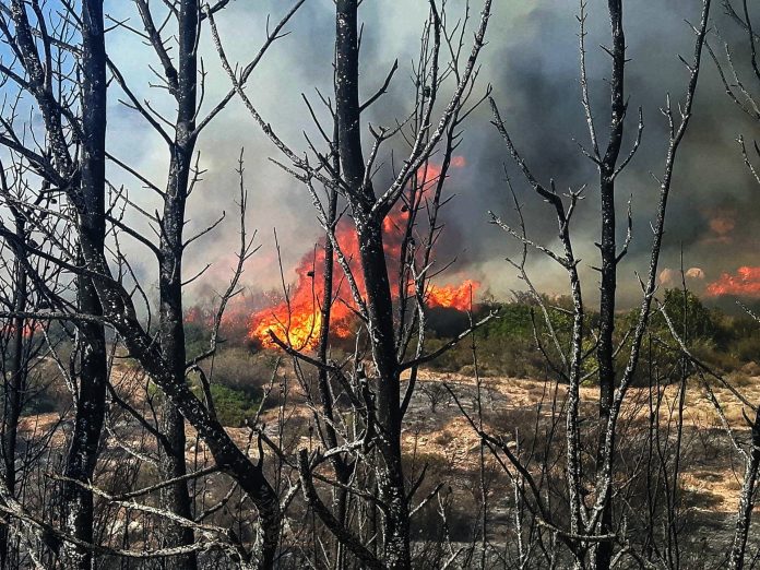 Εύβοια: Συνεχίζεται η μάχη για 2η μέρα στην περιοχή Πισσώνα - Επιχειρούν 52 πυροσβέστες