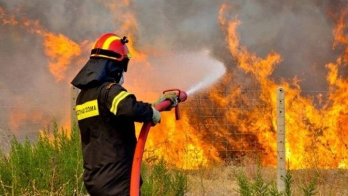 Έκτακτο: Πυρκαγιά και στον Άγιο Ανδρέα στο Ζούμπερι