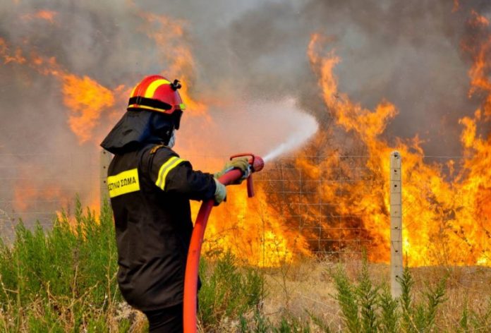 Βοιωτία: Φωτιά στις Πλαταιές – Ισχυροί άνεμοι πνέουν στην περιοχή