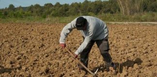 Ηράκλειο: 55χρονος βρέθηκε νεκρός στο χωράφι του