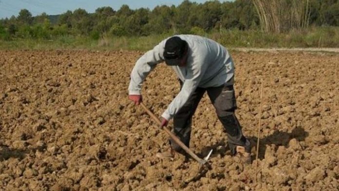 Ηράκλειο: 55χρονος βρέθηκε νεκρός στο χωράφι του