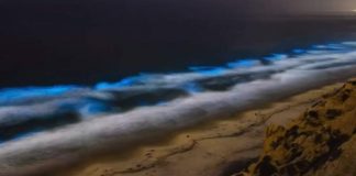 Καλιφόρνια: Το εντυπωσιακό φαινόμενο που δίνει στις ακτές μια απόκοσμη μπλε λάμψη