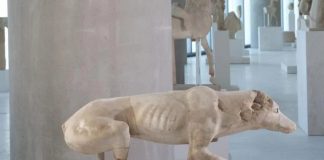 Ακρόπολη: Σημαντικό εύρημα - Βρέθηκε γλυπτό σκύλου από το 520 π.Χ. κοντά στον Παρθενώνα