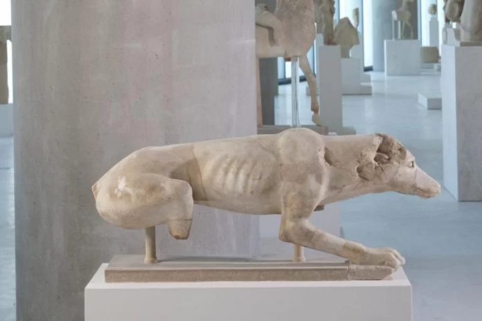 Ακρόπολη: Σημαντικό εύρημα - Βρέθηκε γλυπτό σκύλου από το 520 π.Χ. κοντά στον Παρθενώνα