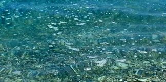 Τα πιο συνηθισμένα αντικείμενα που ανασύρονται από το βυθό της θάλασσας είναι τα πλαστικά μιας χρήσης και οι γόπες των τσιγάρων