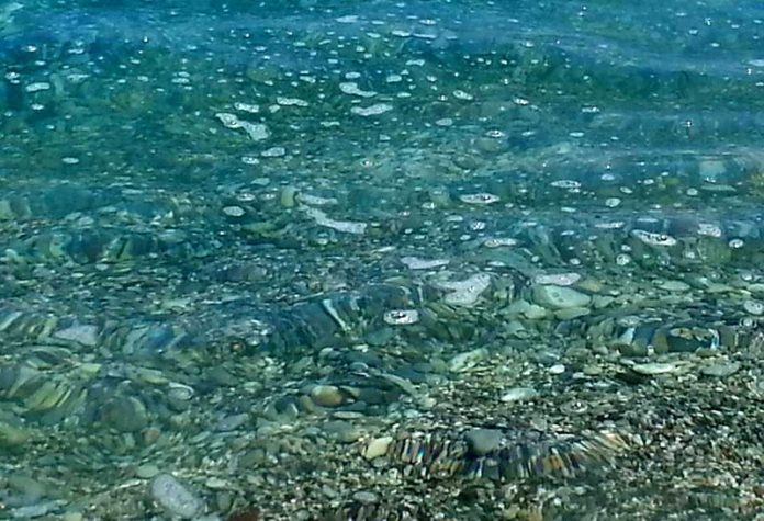 Τα πιο συνηθισμένα αντικείμενα που ανασύρονται από το βυθό της θάλασσας είναι τα πλαστικά μιας χρήσης και οι γόπες των τσιγάρων