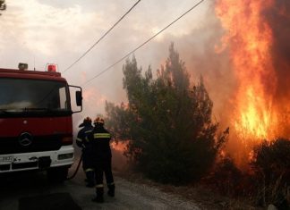 Εύβοια: Επί ποδός πολέμου ο κρατικός μηχανισμός για την πυρκαγιά – Ζητήθηκε βοήθεια από την Ε.Ε.