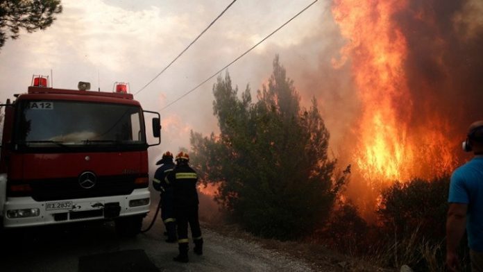 Εύβοια: Επί ποδός πολέμου ο κρατικός μηχανισμός για την πυρκαγιά – Ζητήθηκε βοήθεια από την Ε.Ε.