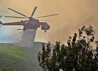 Πυρκαγιά σε δασική έκταση στην Επίδαυρο