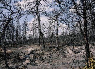 Φωτιά στο Μάτι: Ευθύνες στην ηγεσία της Πυροσβεστικής Υπηρεσίας προκύπτουν μετά από νέες καταθέσεις