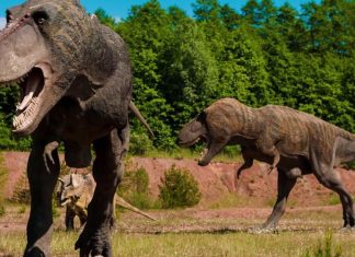 Νότια Αφρική: Ανακαλύφθηκε τεράστιος δεινόσαυρος
