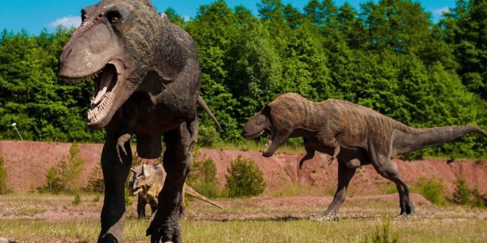 Νότια Αφρική: Ανακαλύφθηκε τεράστιος δεινόσαυρος