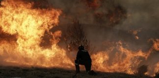 Εύβοια: Ολονύχτια μάχη με τις φλόγες δίνει η Πυροσβεστική