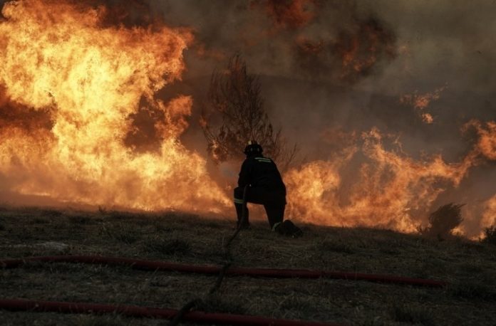 Εύβοια: Ολονύχτια μάχη με τις φλόγες δίνει η Πυροσβεστική