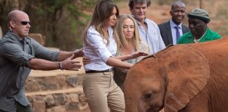 ΚΕΝΥΑ: "Επίθεση" αγάπης από ελέφαντα δέχτηκε η Μελάνια Τραμπ
