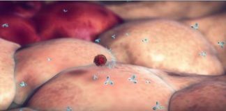 Προσοχή! Δείτε σε βίντεο πώς μεταδίδεται ο ιός της εποχικής γρίπης