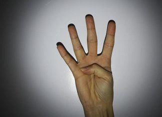 ΑΠΟΨΗ: Πάνος Καμμένος - Πόσα δάχτυλα βλέπεις;
