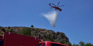 Σπάρτη: Πυρκαγιά στην περιοχή Άγιος Κυπριανός