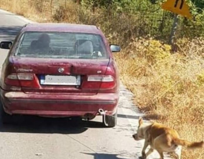 Βρέθηκε το αυτοκίνητο που είχαν δέσει σκύλο και τον έσερναν