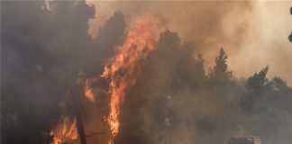 Ζάκυνθος: Μεγάλη πυρκαγιά - Εκκενώνονται σπίτια στο χωριό Κερί