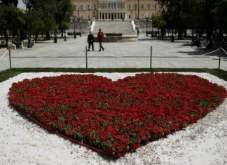 Κόκκινα λουλούδια στην πλατεία Συντάγματος
