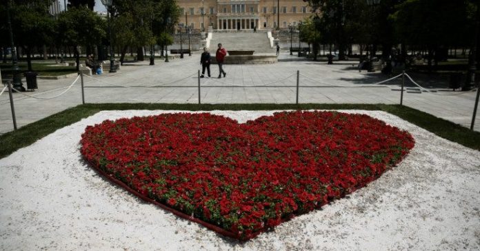 Κόκκινα λουλούδια στην πλατεία Συντάγματος
