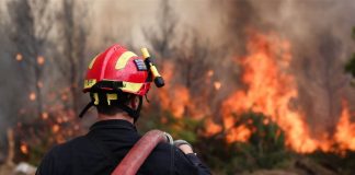 Αλεξανδρούπολη: Σε εξέλιξη η πυρκαγιά που εκδηλώθηκε χθες μεταξύ των οικισμών Μελίας και Νίψας