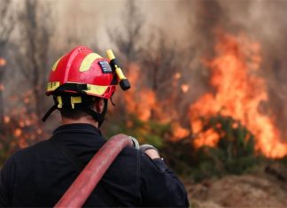 Αλεξανδρούπολη: Σε εξέλιξη η πυρκαγιά που εκδηλώθηκε χθες μεταξύ των οικισμών Μελίας και Νίψας