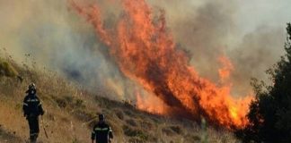 Συναγερμός: Φωτιά σε Καλύβια-Κερατέα