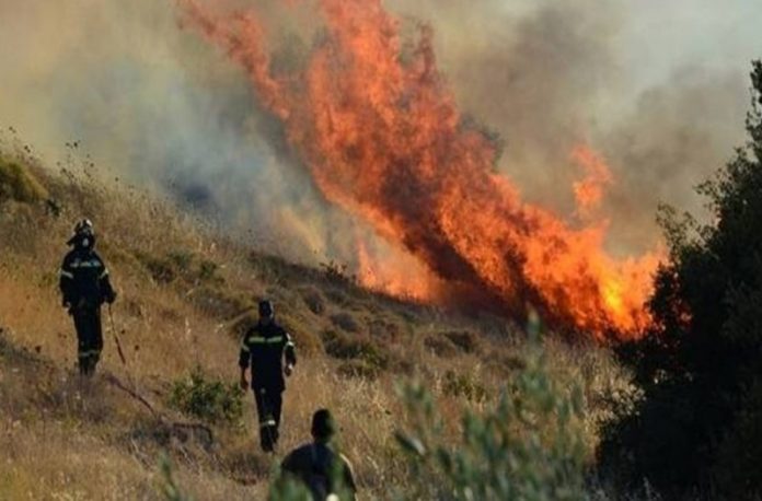 Συναγερμός: Φωτιά σε Καλύβια-Κερατέα